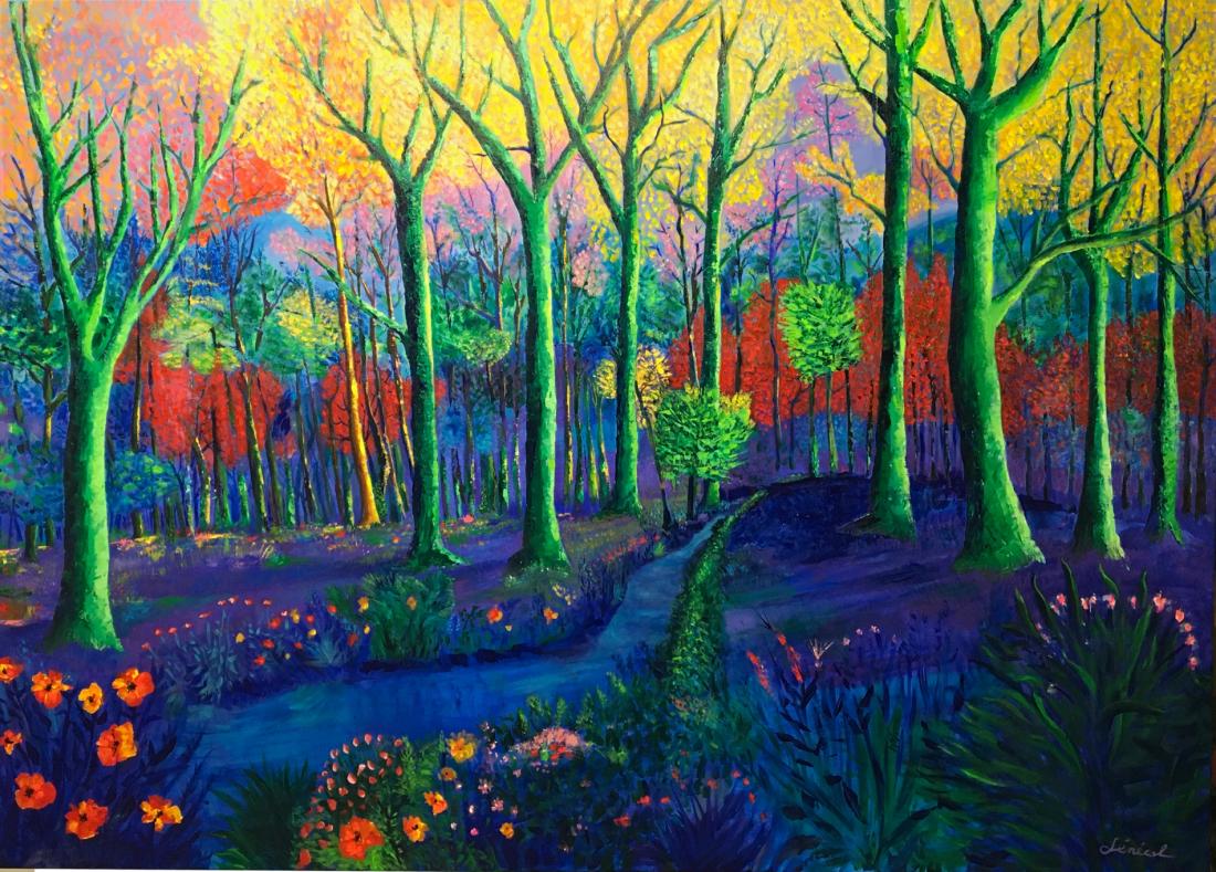 PROMENADE DANS LA FORET EXTRAORDINAIRE